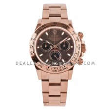 Daytona 116505 Chocolate Dial in Everose Gold Daytona 116505 Chocolate Dial in Everose Gold